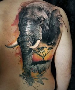 26158716_1596311057122215_3818047538972327936_n