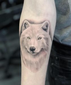 55536492_297508564251051_1630050409361965056_n