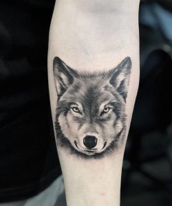 55621032_297508530917721_8834732953184501760_n