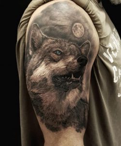 81752280_143494370418041_6609036099593437184_n